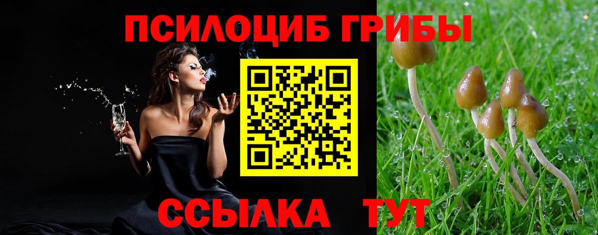 Янаул  Псилоцибиновые грибы Psilocybine cubensis  Вход с VPN 