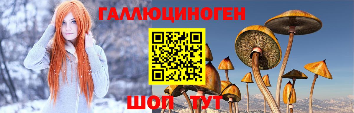 Псилоцибиновые грибы GOLDEN TEACHER Янаул